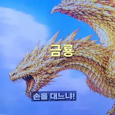 Profile image of 금룡