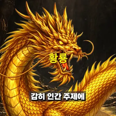 Profile image of 황룡