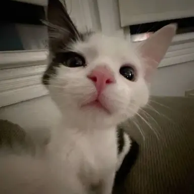 Profile image of 김규빈