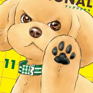 Profile image of サンジュ