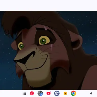 Profile image of 코부