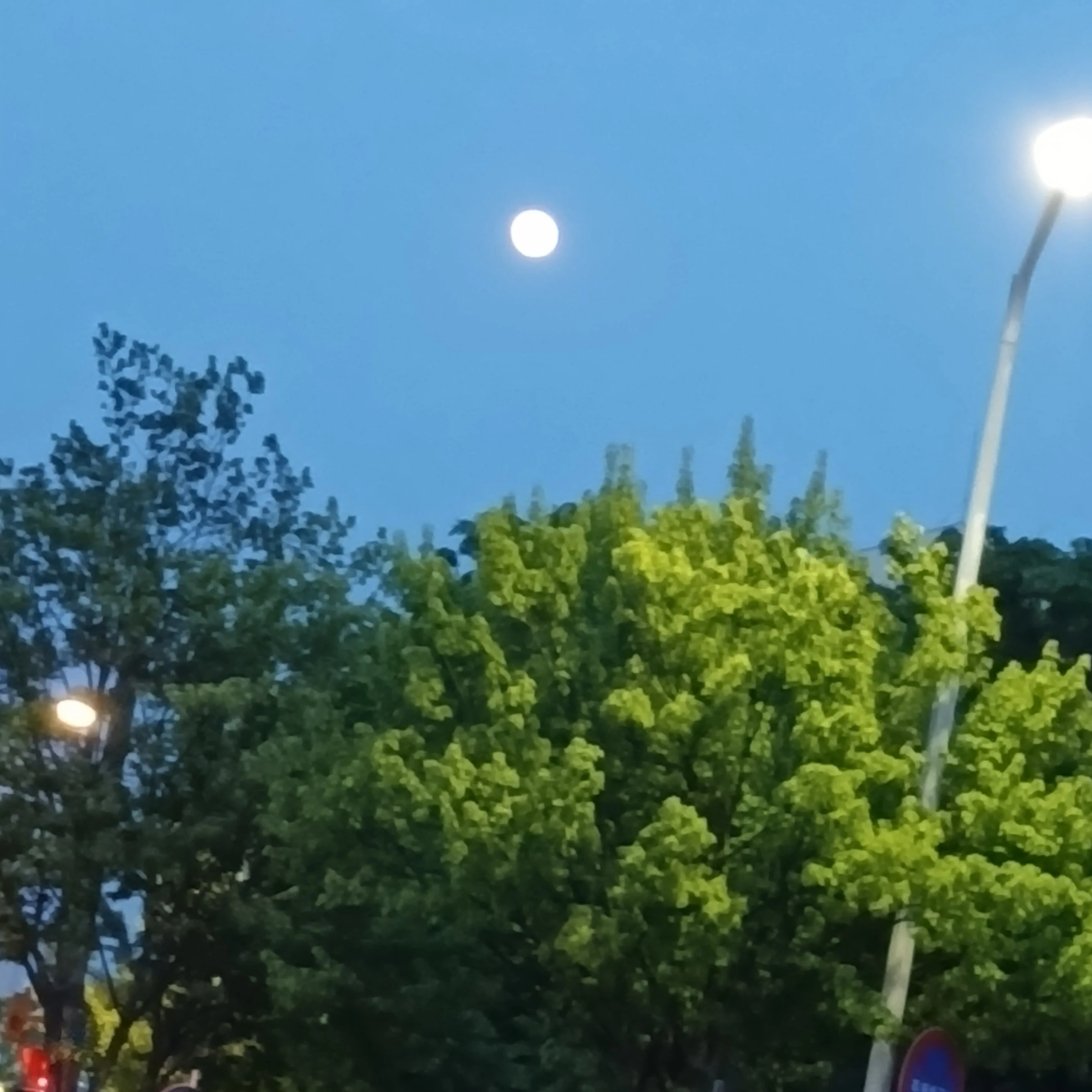 요괴특공대