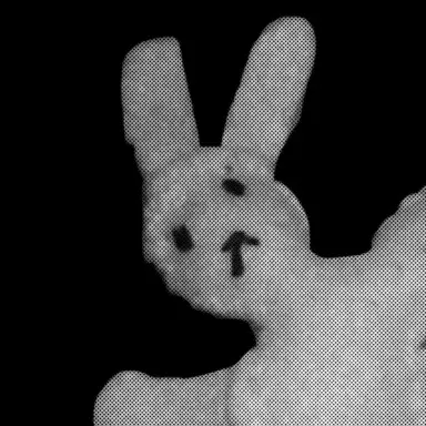 Profile image of Damian