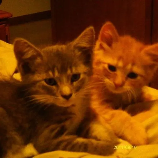 yw2의 Sonny Stanley