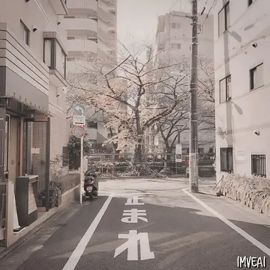 Profile image of 봉안나