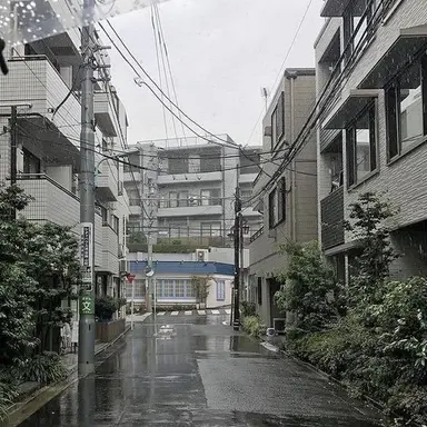 Profile image of 백참
