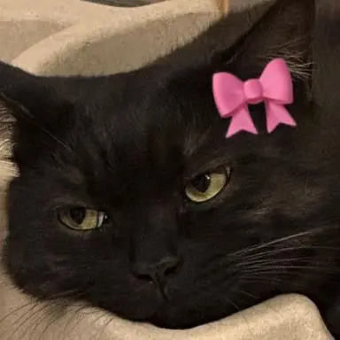 Profile image of ウヨン