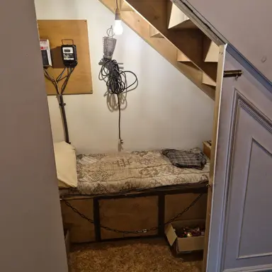 Profile image of 해설