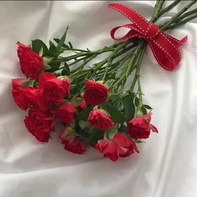 Profile image of 라경사