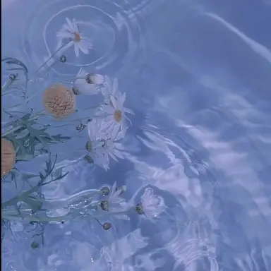 Profile image of 잠경위