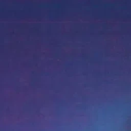 유지민