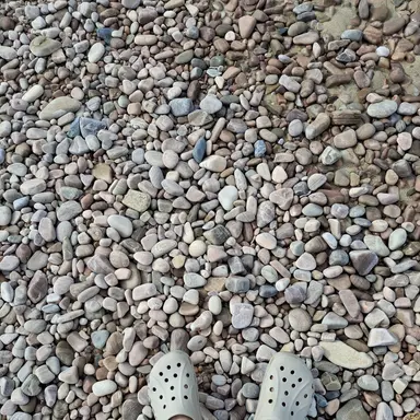 Profile image of 박덕개