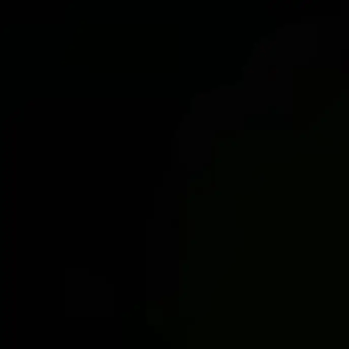 HuskyApe3648의 ㅂㄴㄷ