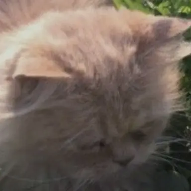 Profile image of 이유서