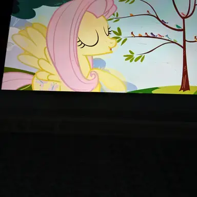 Profile image of 플러터 샤이