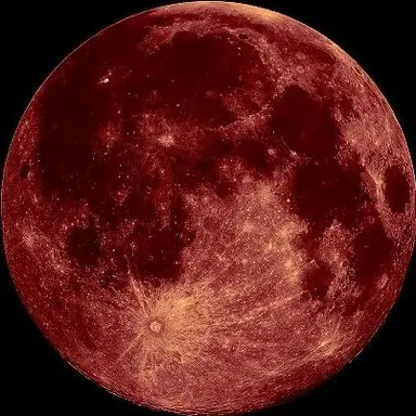 Profile image of ジェシー