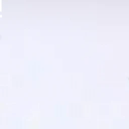 박 성 호