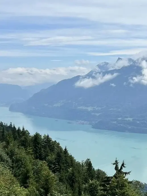 Snowonthetop의 설원의 봄