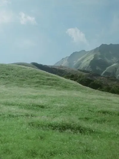 FlushTea0084의 調香師の君。