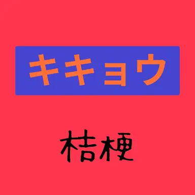 Profile image of キキョウ