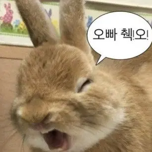Profile image of 히아루 미사레