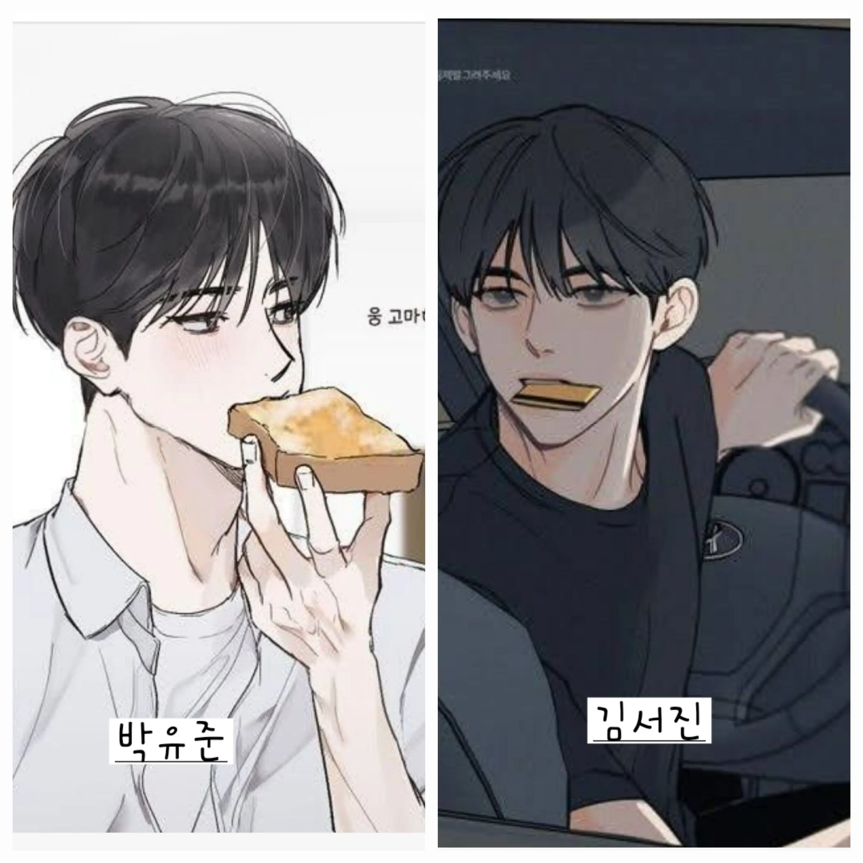 FrugalMint8626의 사고뭉치 우리 3총사!