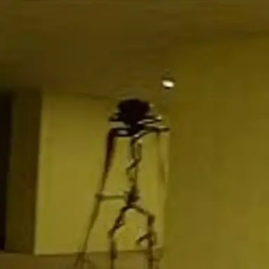 Profile image of The Back Rooms