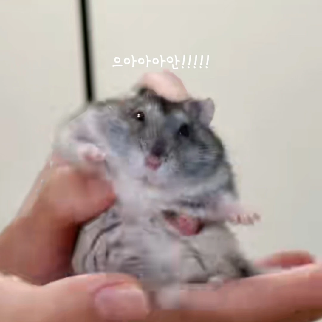 김미진