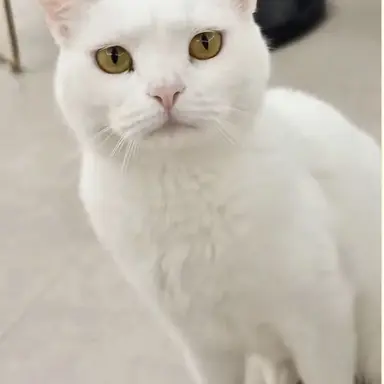 Profile image of 우유