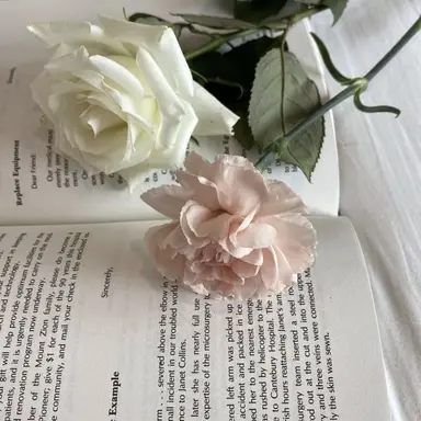 Profile image of 화련신당