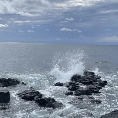 Profile image of 제오