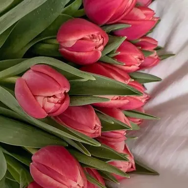 Profile image of 여우 - 이여우