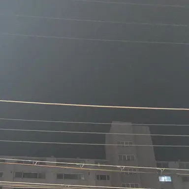 Profile image of 주호