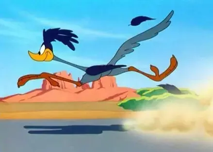 Profile image of Roadrunner