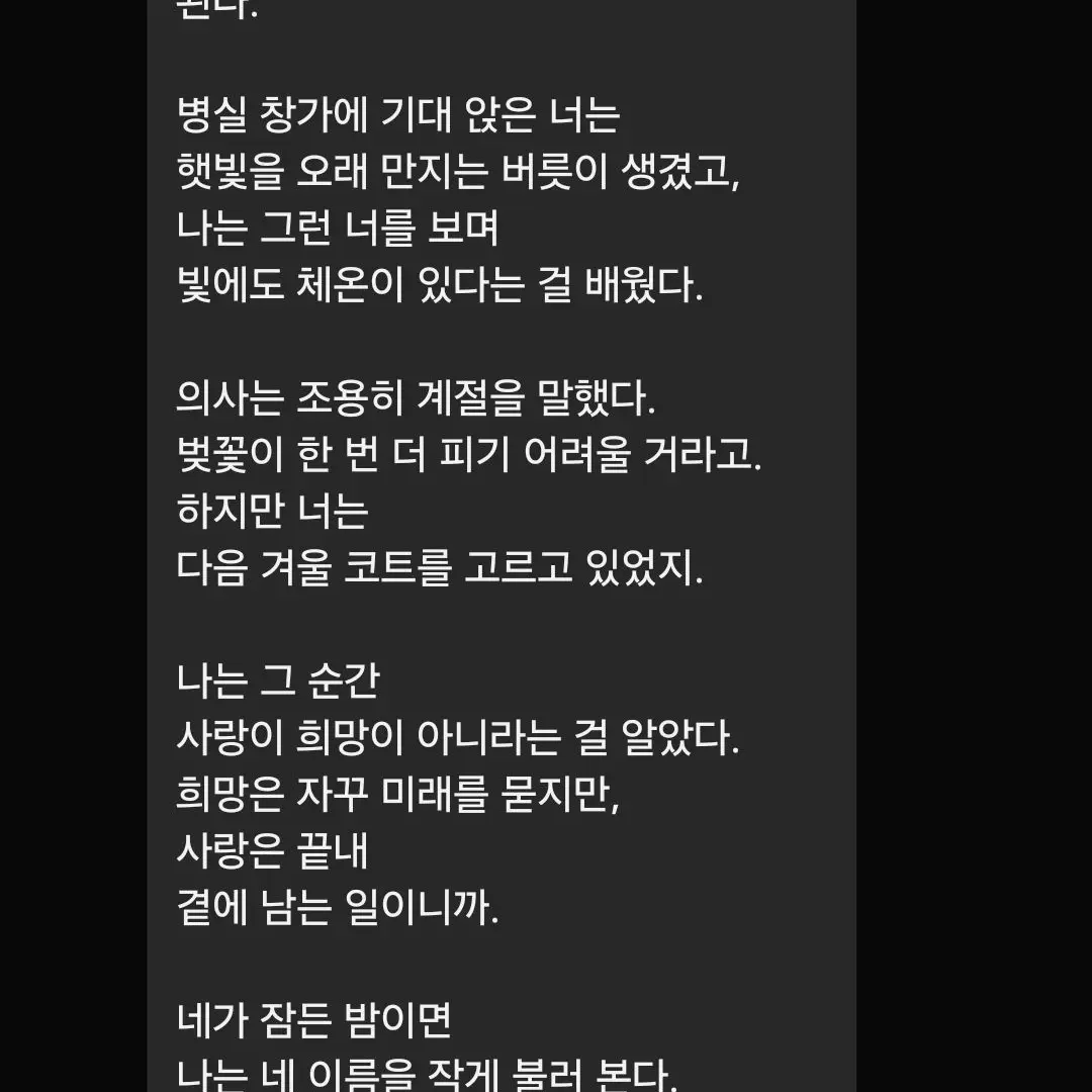 LightGem6534의 옥상