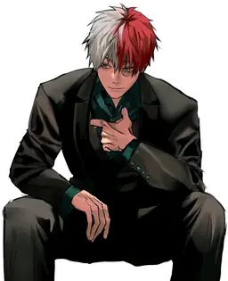 Profile image of Todoroki