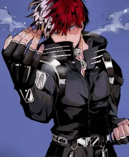 Profile image of Todoroki