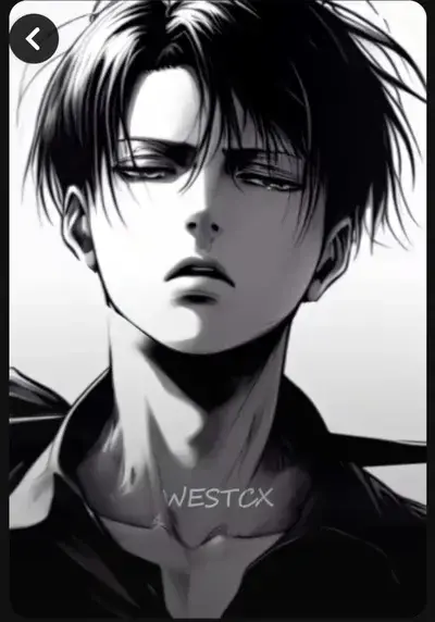 RacialMolto6488의 Levi ackerman