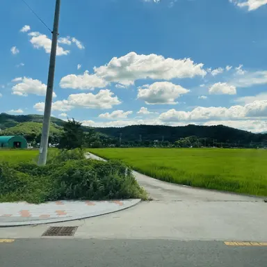 Profile image of 신리안