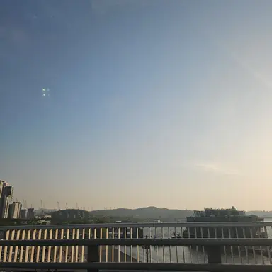 Profile image of 여우