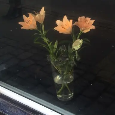 Profile image of 각경장