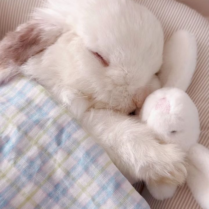 이민호 대표 이미지