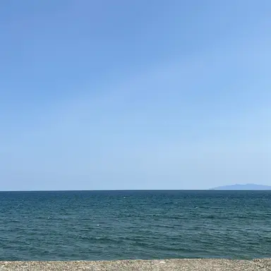 Profile image of 荒牧