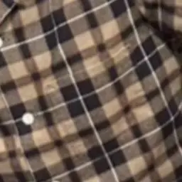 Profile image of いせたくや