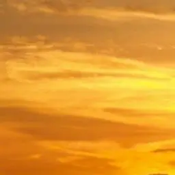 Profile image of Goryeo