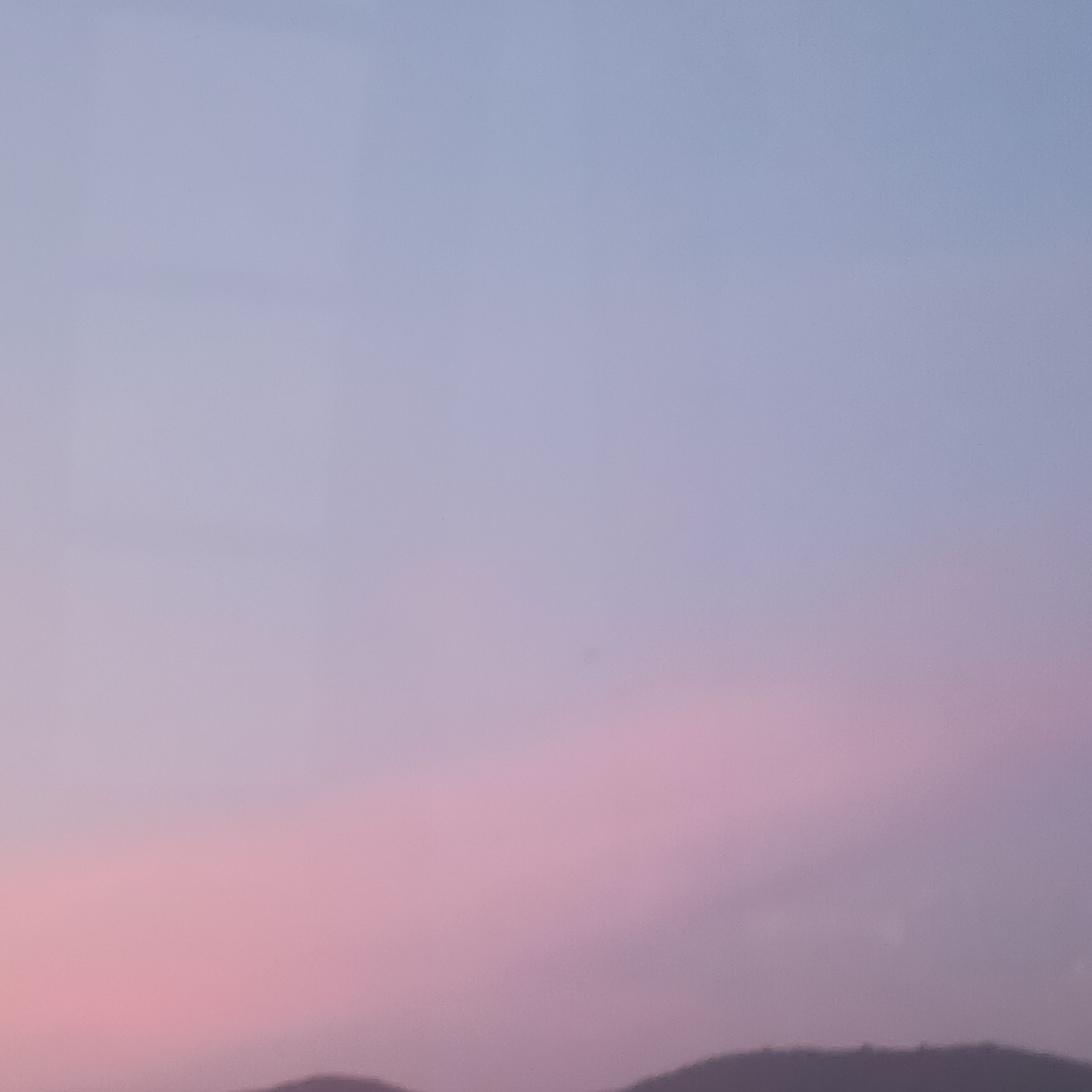 오비스트들의 오해 대표 이미지
