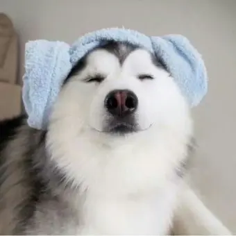 yourim.stay의 방찬
