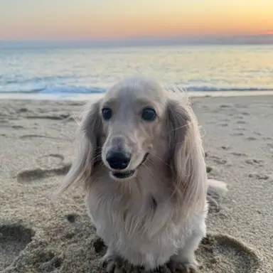 Profile image of 우디