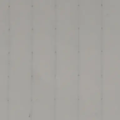Profile image of ノートン