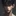 주강혁